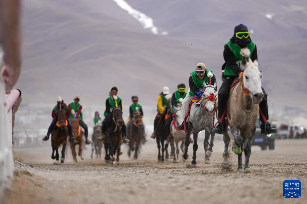     ཟླ་4ཚེས་23ཉིན་ནས་ཚེས་28ཉིན་བར། འདམ་མཆོད་རའི་རྟ་རྩེད་རིམ་འདས་གདན་འདྲེན་འགྲན་བསྡུར་སྐབས་གཉིས་པ་དེ་བོད་ལྗོངས་ལྷ་ས་གྲོང་ཁྱེར་འདམ་ཞུང་རྫོང་རྟ་རྒྱུག་ར་བར་ཚུགས་པ་དང་། བོད་ལྗོངས་དང་། ཡུན་ནན། སི་ཁྲོན། ཀན་སུའུ། མཚོ་སྔོན་བཅས་ནས་ཡོང་བའི་རྟ་པ་403གྱིས་ཐེག་ཤུགས་འགྲན་བསྡུར་དང་མྱུར་ཚད་འགྲན་བསྡུར་སོགས་འགྲན་ཁག་བཅུ་གཉིས་ནང་འགྲན་བསྡུར་བྱས་པ་རེད།      ཉེ་བའི་ལོ་ཤས་རིང་། འདམ་གཞུང་རྫོང་གིས་ཡུལ་སྐོར་རིག་གནས་ཀྱི་རྨང་གཞི་ཟབ་མོར་བརྟེན་ནས་“རྟ་རྒྱུག་དང་རིག་གནས་ཡུལ་སྐོར་”མཉམ་འདྲེས་ལ་སྐུལ་འདེད་ཧུར་ཐག་བཏང་ནས་རྫོང་ཁོངས་དཔལ་འབྱོར་འཕེལ་རྒྱས་ལ་སྐུལ་འདེད་བཏང་བ་རེད།