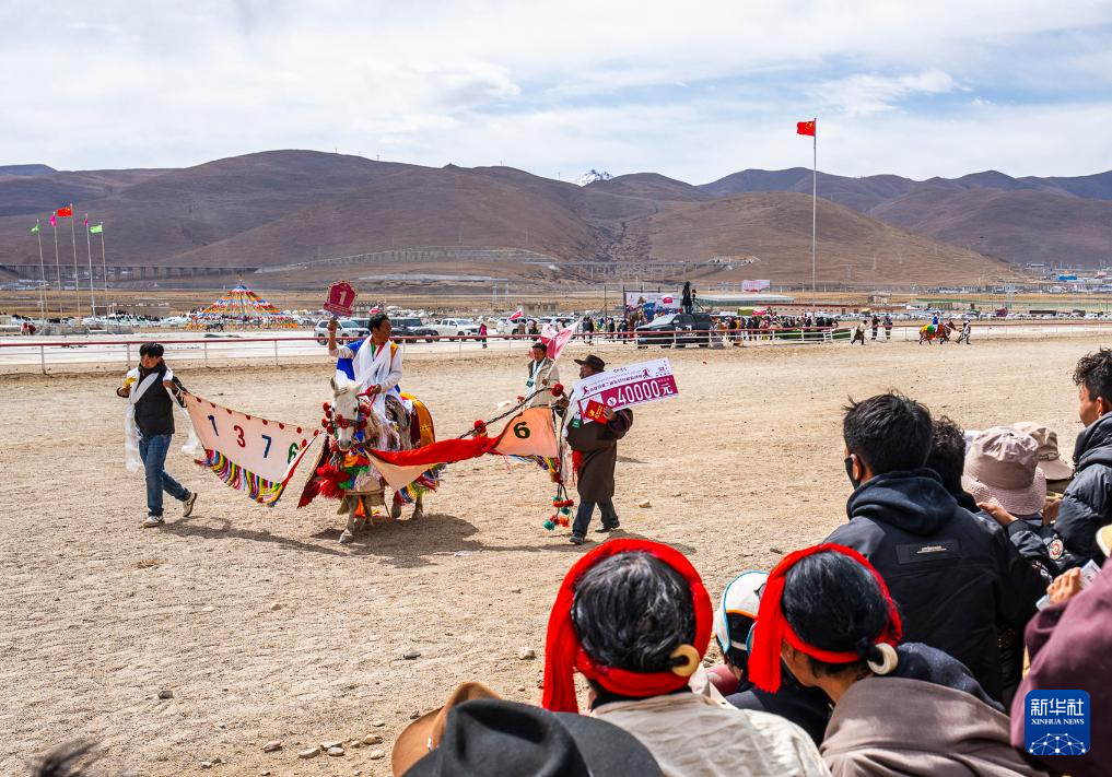     ཟླ་4ཚེས་23ཉིན་ནས་ཚེས་28ཉིན་བར། འདམ་མཆོད་རའི་རྟ་རྩེད་རིམ་འདས་གདན་འདྲེན་འགྲན་བསྡུར་སྐབས་གཉིས་པ་དེ་བོད་ལྗོངས་ལྷ་ས་གྲོང་ཁྱེར་འདམ་ཞུང་རྫོང་རྟ་རྒྱུག་ར་བར་ཚུགས་པ་དང་། བོད་ལྗོངས་དང་། ཡུན་ནན། སི་ཁྲོན། ཀན་སུའུ། མཚོ་སྔོན་བཅས་ནས་ཡོང་བའི་རྟ་པ་403གྱིས་ཐེག་ཤུགས་འགྲན་བསྡུར་དང་མྱུར་ཚད་འགྲན་བསྡུར་སོགས་འགྲན་ཁག་བཅུ་གཉིས་ནང་འགྲན་བསྡུར་བྱས་པ་རེད།      ཉེ་བའི་ལོ་ཤས་རིང་། འདམ་གཞུང་རྫོང་གིས་ཡུལ་སྐོར་རིག་གནས་ཀྱི་རྨང་གཞི་ཟབ་མོར་བརྟེན་ནས་“རྟ་རྒྱུག་དང་རིག་གནས་ཡུལ་སྐོར་”མཉམ་འདྲེས་ལ་སྐུལ་འདེད་ཧུར་ཐག་བཏང་ནས་རྫོང་ཁོངས་དཔལ་འབྱོར་འཕེལ་རྒྱས་ལ་སྐུལ་འདེད་བཏང་བ་རེད།
