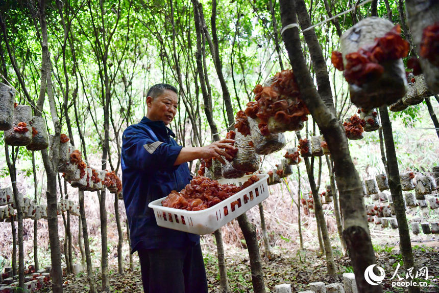 མི་དམངས་དྲ་བའི་གསར་འགོད་པ་ཧྲི་ཡུས་ཀྱིས་པར་བླངས། 