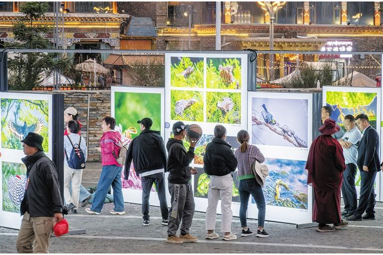 2025ལོའི་ཟླ་7ཚེས་24ཉིན། ཀྲུང་གོ་པར་ལེན་པའི་མཐུན་ཚོགས་དང་། མཚོ་སྔོན་ཞིང་ཆེན་རྩོམ་རིག་སྒྱུ་རྩལ་ལས་རིགས་མཉམ་འབྲེལ་ལྷན་ཚོགས། ཀྲུང་གུང་ཡུལ་ཤུལ་ཀྲོའུ་ཨུད། ཡུལ་ཤུལ་ཀྲོའུ་མི་དམངས་སྲིད་གཞུང་བཅས་ཀྱིས་མཉམ་དུ་གཙོ་གཉེར་བྱས་པའི་ཀྲུང་གོའི་རི་སྐྱེས་སྲོག་ཆགས་པར་ལེན་འགྲེམས་སྟོན་ཆེ་མོ་སྐབས་གསུམ་པ་མཚོ་སྔོན་ཞིང་ཆེན་ཡུལ་ཤུལ་བོད་རིགས་རང་སྐྱོང་ཀྲོའུ་ཡུལ་ཤུལ་གྲོང་ཁྱེར་དུ་འགོ་ཚུགས་པ་རེད། ཀྲུང་གོའི་རི་སྐྱེས་སྲོག་ཆགས་པར་ལེན་འགྲེམས་སྟོན་ཆེ་མོ་ནི་རྒྱལ་ནང་གི་ཚད་གཞི་མཐོ་ཤོས་ཀྱི་རི་སྐྱེས་སྲོག་ཆགས་པར་ལེན་འགྲེམས་སྟོན་ཞིག་ཡིན་ཞིང་། པར་ལེན་བརྩམས་ཆོས་ལས་མི་དང་རང་བྱུང་ཁམས་ཞི་མཐུན་མཉམ་གནས་ཀྱི་སྐྱེ་ཁམས་མཛེས་ལྗོངས་དང་མི་རྣམས་ཀྱིས་ཐུན་མོང་ཐོག་སའི་གོ་ལའི་ཁྱིམ་གཞིས་སྲུང་སྐྱོང་གི་འདུ་ཤེས་ཟབ་ཏུ་ཕྱིན་པ་མཚོན་ཡོད། འདི་ནི་2025ལོའི་ཟླ་7ཚེས་24ཉིན། ལྟད་མོ་བས་ཡིད་དབང་འཕྲོག་པའི་རི་སྐྱེས་སྲོག་ཆགས་པར་ལེན་བརྩམས་ཆོས་འགྲེམས་སྟོན་ལ་མྱོང་རོལ་བྱེད་བཞིན་པ།