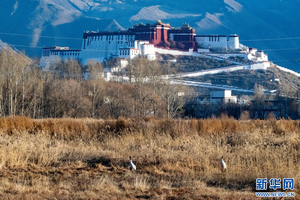 ལྷ་ཀླུ་འདམ་ར།