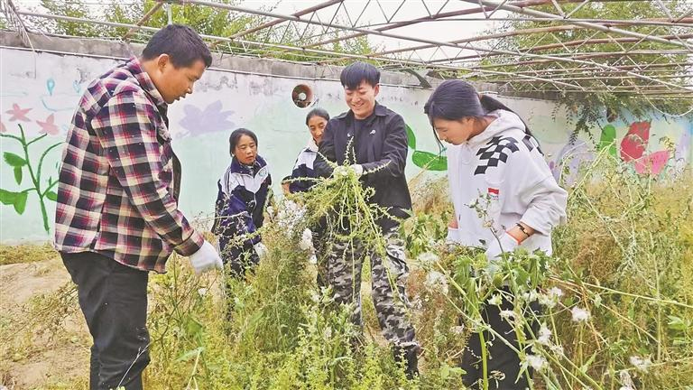 འདི་ནི་དགེ་འོས་ཆེད་ལས་སློབ་མ་དབྱང་ཕེང་ཤིན(གཡོན་གྱི་གཉིས་པ)གྱིས་སློབ་མ་ཁྲིད་དེ་ངལ་རྩོལ་སློབ་ཚན་རིང་རྩྭ་ངན་འགོག་བཞིན་པ།