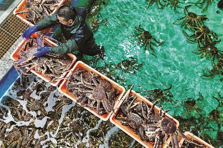 འཁྱགས་རོམ་རྒྱ་མཚོ་བྱང་མར་ཤར་གཏོང་ཐུབ་པའི་རང་རྒྱལ་གྱི་སྐམ་སའི་བགྲོད་ལམ་གྱི་འགག་རྩའི་མཚམས་ཚིགས་ཤིག་ཡིན་པའི་ཤིན་ཅང་ཅི་མུའུ་ནེ་འགག་སྒོས་འགག་སྒྲོལ་ཞབས་ཞུ་དང་སྲིད་ཇུས་ཀྱི་རྒྱབ་སྐྱོར་ལེགས་སུ་བཏང་བར་བརྟེན། ནུབ་བྱང་གི་ལྗོངས་དང་ཞིང་ཆེན་ལྔའི་ཟས་སྤྱོད་ཆུ་སྐྱེས་སྲོག་ཆགས་ཀྱི་ཚོང་དོན་ལྟེ་གནས་སུ་གྱུར་ཡོད། ཟས་རིགས་སོས་པ་ཡོང་ཆེད་ཅི་མུའུ་ནེ་འགག་སྒོས་སྔོན་ལ་ཞིབ་བཤེར་དང་མགྱོགས་མྱུར་གློད་ནས་འགག་སྒོ་སྒྲོལ་བའི་དུས་ཚོད་ཐུང་དུ་གང་ཐུབ་བཏང་སྟེ“འབྱོར་མ་ཐག་ཞིབ་བཤེར”ཐུབ་པར་བྱས་པས“དར་གོས་ལམ་བུའི་ཞིམ་ཟས”ཀྲུང་གོའི་གསོལ་ལྕོག་ལ་མགྱོགས་མྱུར་བཏོན་ཐུབ་ཡོད། 2025ལོར། འགག་སྒོ་དེ་ནས་ནང་འདྲེན་བྱས་པའི་སྡིག་སྲིན་གསོན་པོའི་ཚོང་དོན་དངུལ་འབོར་སྒོར་དུང་ཕྱུར་གཅིག་ལྷག་ཙམ་ཟིན་ཡོད་པ་རེད། འདི་ནི་ལས་མིས་སྡིག་སྲིན་གསོན་པོ་ཐུམ་སྒྲིལ་རྒྱག་བཞིན་པ།