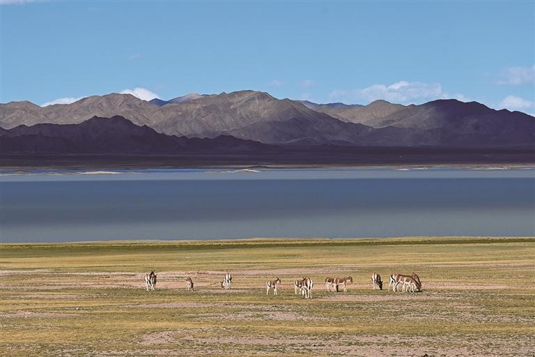 འདི་ནི་བོད་རང་སྐྱོང་ལྗོངས་མངའ་རིས་ས་ཁུལ་སྒེར་རྩེ་རྫོང་ཁོངས་ཀྱི་ཞལ་དཀར་མཚོའི་ངོགས་ཀྱི་མཛེས་ལྗོངས་ཡིན་པ།