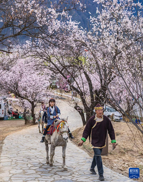 ༄༅།།ཉིང་ཁྲིའི་ཁམ་བུའི་མེ་ཏོག་བཞད་པ། 